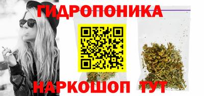 СК Волгодонск