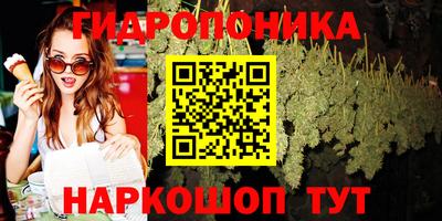 прущие грибы Волжский