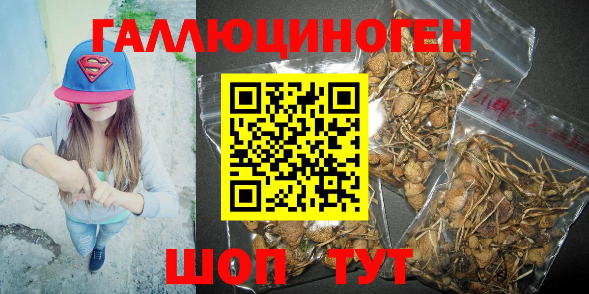 Галлюциногенные грибы Psilocybine cubensis  Вход с VPN  Дятьково  Галлюциногенные грибы мицелий 